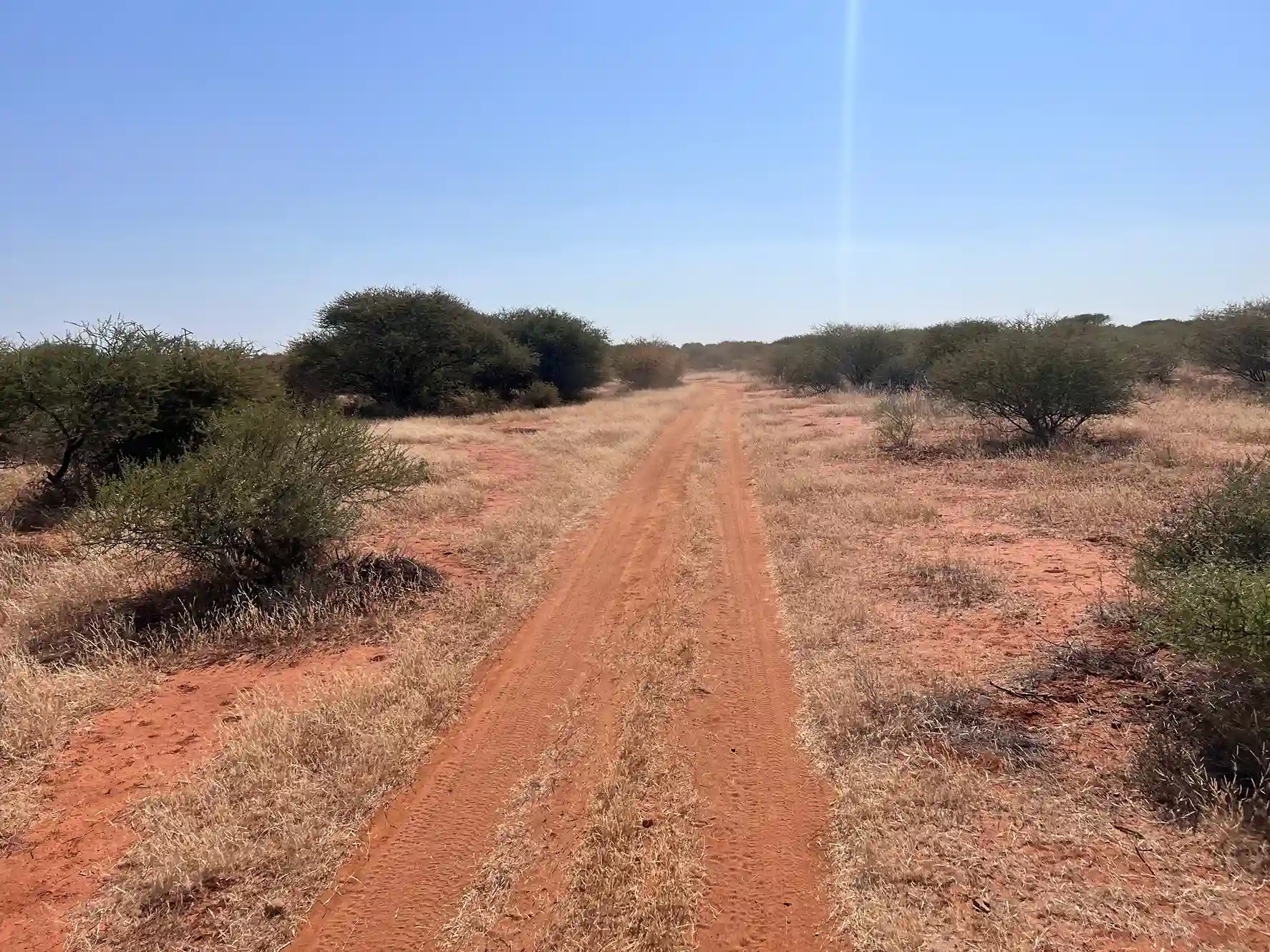ntorno natural del lodge al atardecer, con edificios de estilo africano rodeados de naturaleza y total tranquilidad.